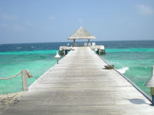 マルハバ! - from Maldives