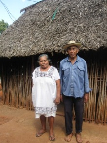 H.I.S.メキシコシティー支店～タコタコ・タコス通信～