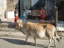 H.I.S.デリー支店（インド）