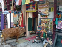 H.I.S.デリー支店（インド）