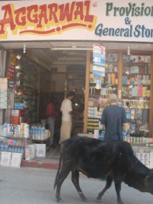 H.I.S.デリー支店（インド）