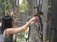 H.I.S. ロサンゼルス