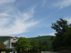 H.I.S. ニューヨーク支店便り