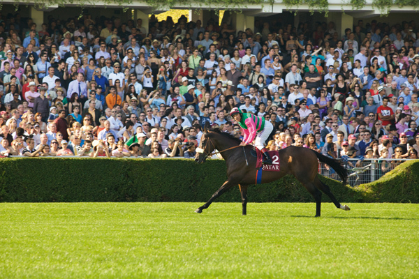 o0600040012125819645_2.jpg?alt