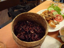 H.I.S.ラオス支店の日記