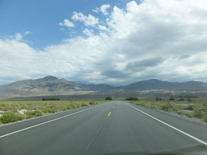 ロサンゼルス観光ブログ 世界最古の木 ブリストルコーンパイン を探しに 知られざる秘境の旅