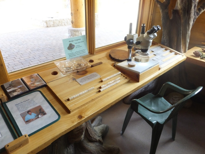 ロサンゼルス観光ブログ 世界最古の木 ブリストルコーンパイン を探しに 知られざる秘境の旅