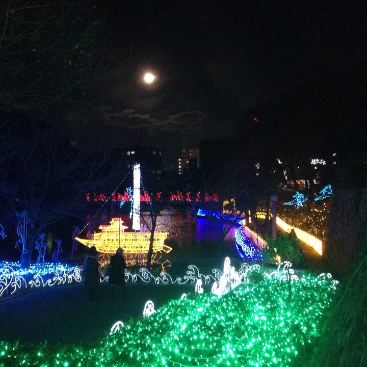 Photo_6