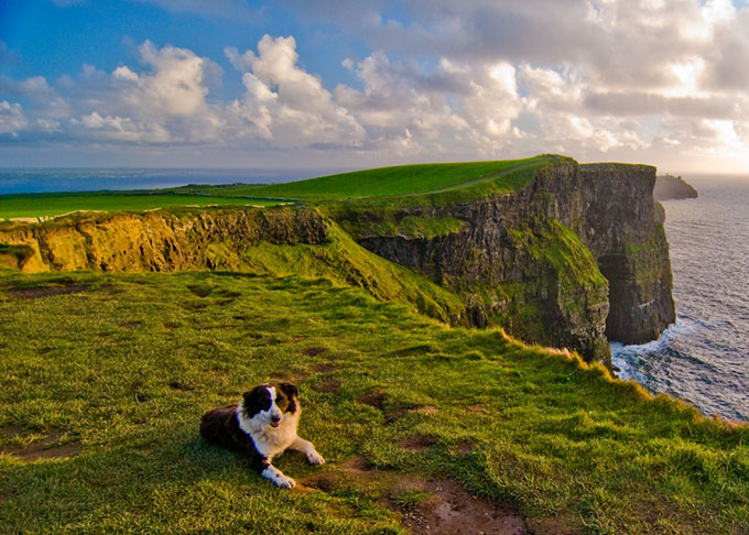Small_sp_clare_03072011_773