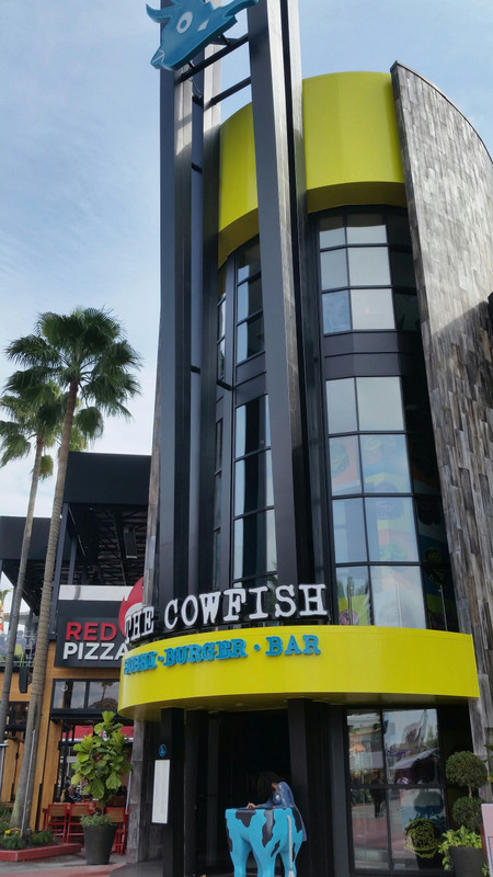 オーランド観光ブログ シティーウォークのcowfishに行ってきました ユニバーサル オーランド