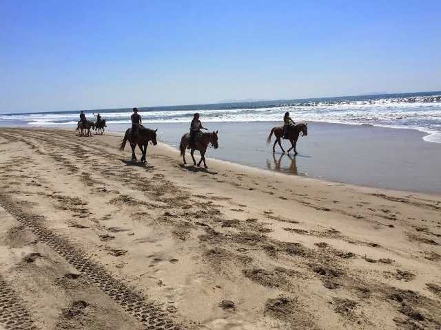 ロサンゼルス観光ブログ : 波打ち際の国境