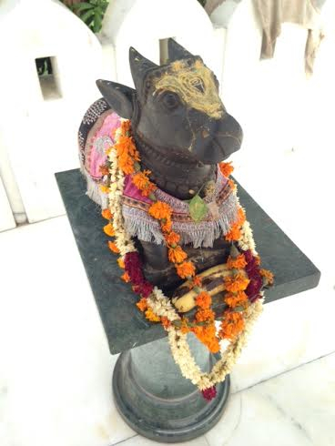 インド観光情報ブログ : 狛犬？可愛い神様が沢山いた純白のお寺2