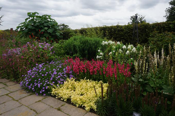 ロンドン観光ブログ 花盛り 英国王室園芸協会のウィズリーガーデン Wisley Garden