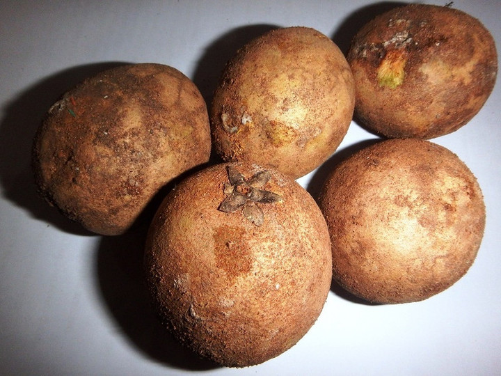 ラオス観光ブログ : 珍しいフルーツ『サポジラの実』