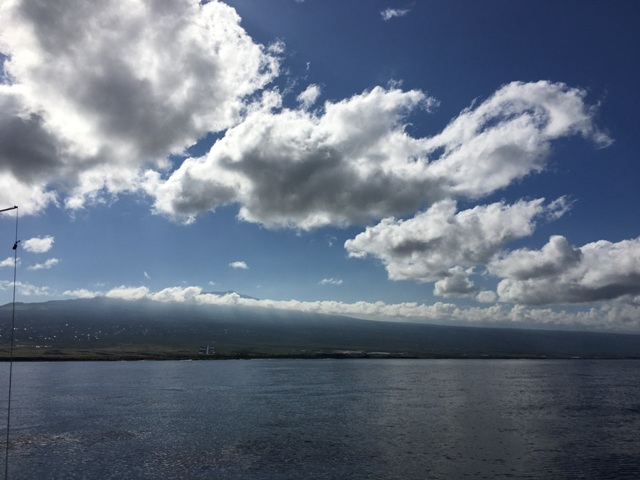 ハワイ島・マウイ島観光ブログ : ハワイ島のビッグ ゲームフィッシング