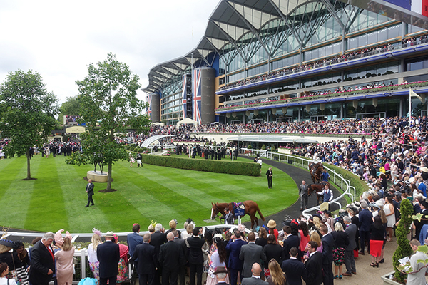 ロンドン観光ブログ 上流階級1日体験 ロイヤル アスコットツアー16 潜入レポート 入場編