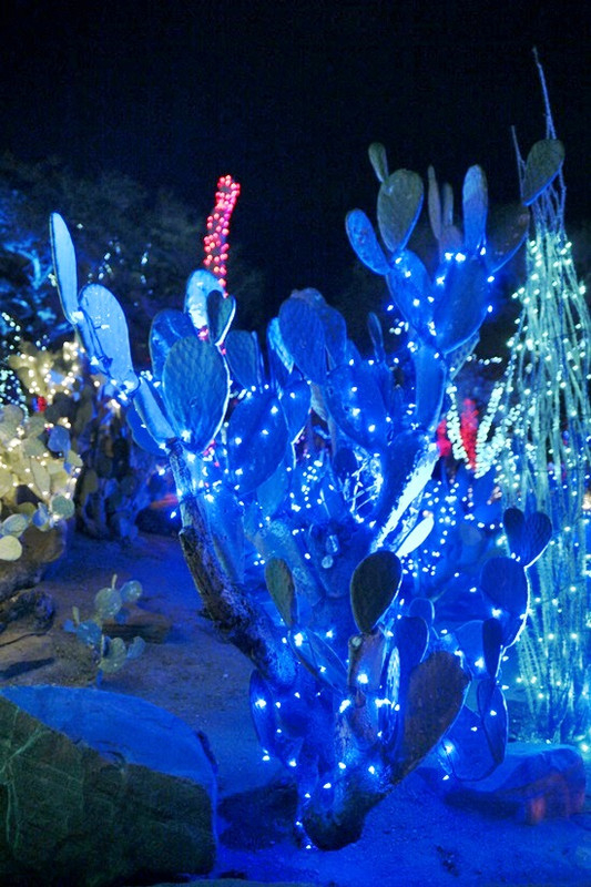 ラスベガス観光ブログ : エセルMチョコレートのサボテン園