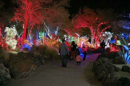 ラスベガス観光ブログ : エセルMチョコレートのサボテン園