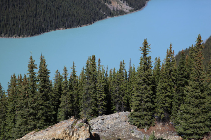 バンクーバー観光ブログ ペイトー湖 夏ver