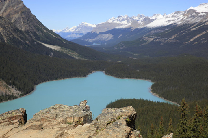 バンクーバー観光ブログ ペイトー湖 夏ver