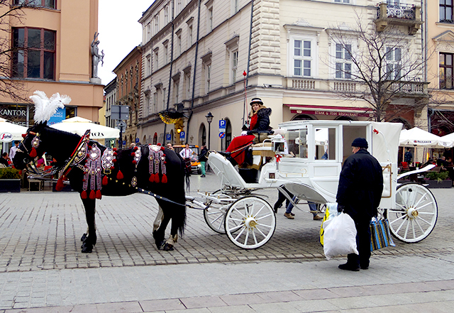 Imgp4663