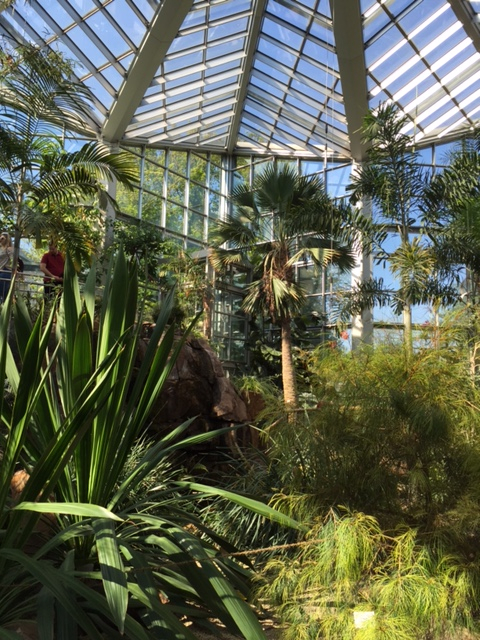 ドイツ観光ブログ フランクフルト植物園 Palmengarten パルメンガルテン