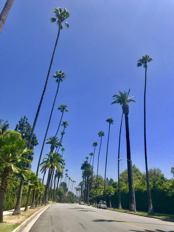 ロサンゼルス観光ブログ ビバリーヒルズのオシャレすぎるホテル