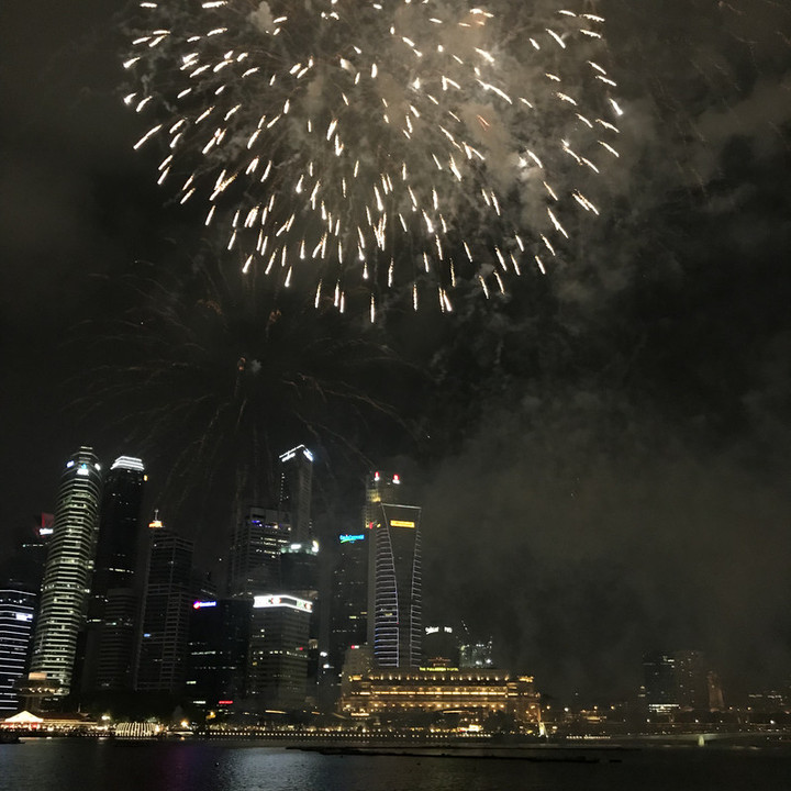 シンガポール観光ブログ Ndp ナショナルデイ デイ パレード 18