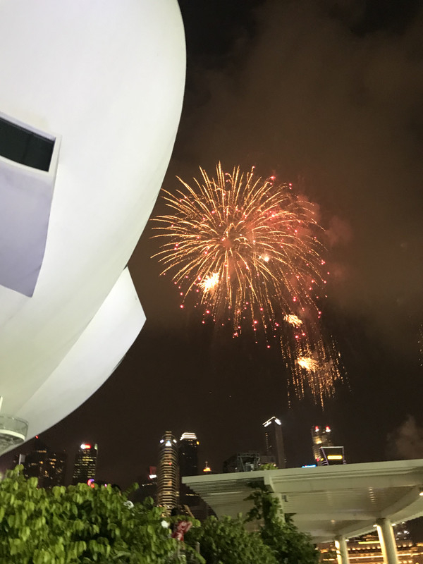 シンガポール観光ブログ Ndp ナショナルデイ デイ パレード 18