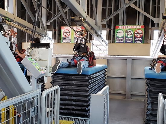 パラスパレス　ジップアップ パラスパレス ジップアップ