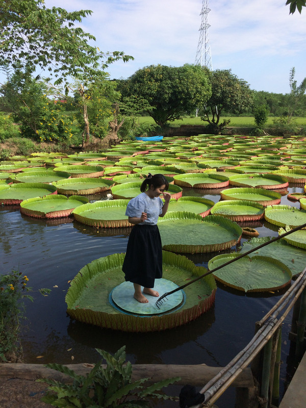 タイ観光ブログ ピサヌロークで おやゆび姫 になろう