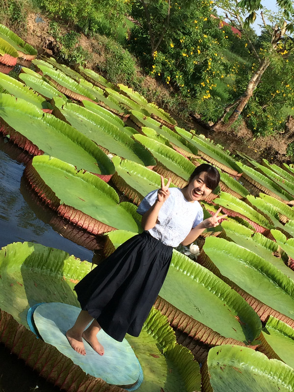 タイ観光ブログ ピサヌロークで おやゆび姫 になろう タイ観光ブログ ピサヌロークで おやゆび姫 になろう