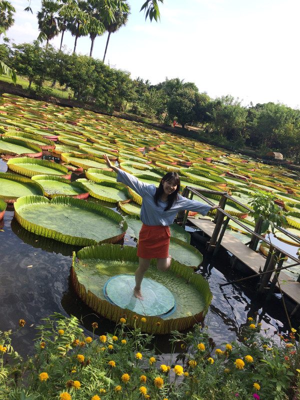 タイ観光ブログ ピサヌロークで おやゆび姫 になろう