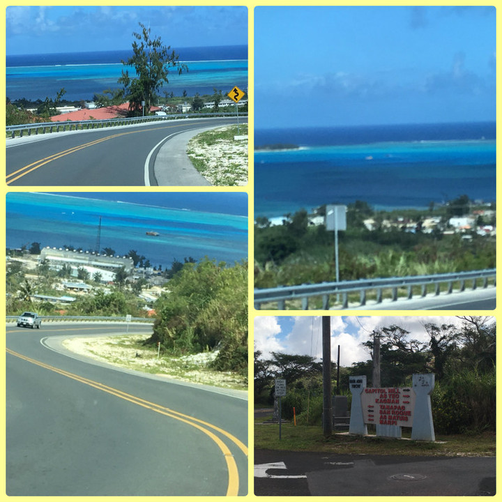 Collage_photocat15
