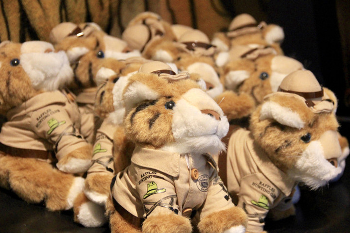 ALBINAbyGOLDS♡タグ付き♡ラッフルフリルレース♡ワンピース♡ピンク