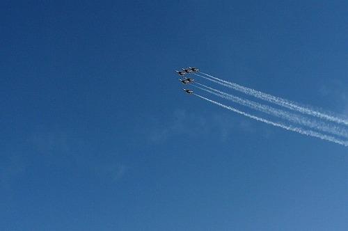 米空軍アクロバットチー厶 サンダーバーズ2004パンフレット サンダーバーズ(米空軍アクロバットチーム・Thunderbirds) F-16C