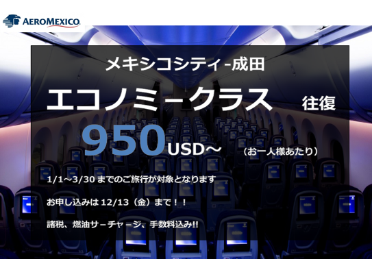 メキシコシティ観光ブログ 緊急 Aeromexico 日本行きがお得 メキシコシティ観光ブログ 緊急 Aeromexico 日本行きがお得