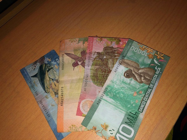 コスタリカ観光ブログ コスタリカのキュートなお札たち