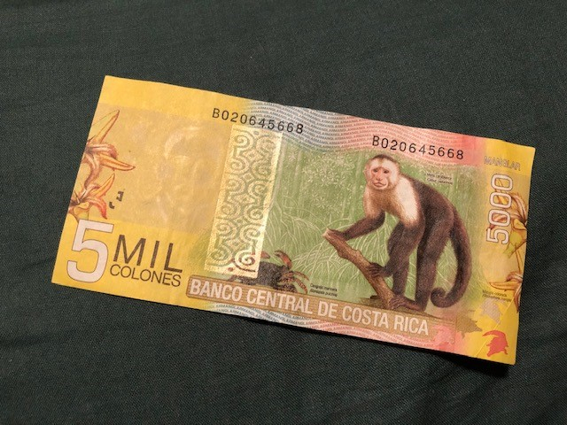 コスタリカ観光ブログ コスタリカのキュートなお札たち