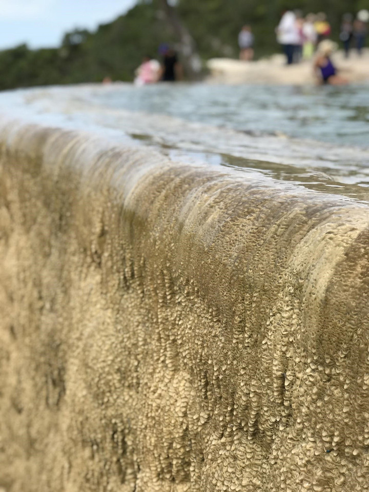 メキシコシティ観光ブログ 時が止まった 石の滝 イエルベ エル アグア