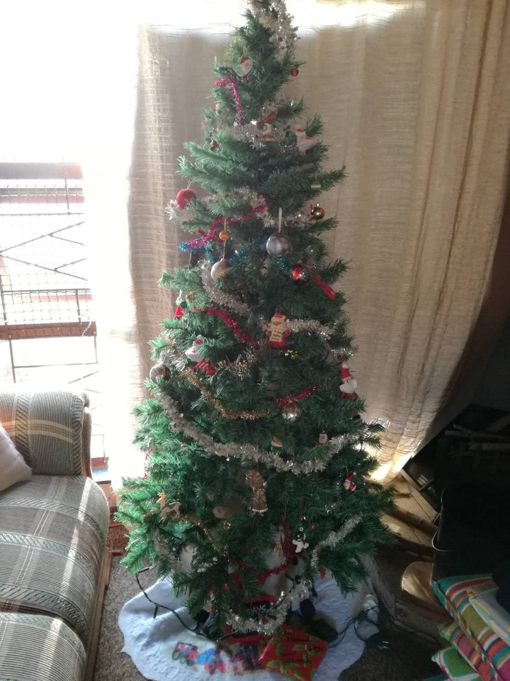 南アフリカ観光ブログ クリスマスが今年もやってくる
