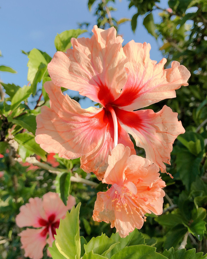 149a83bee32c49dea712b10ef0f375fc