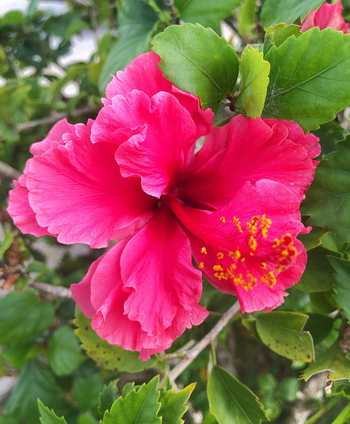 938c20b8a39d4baeb32b29ae430128a2