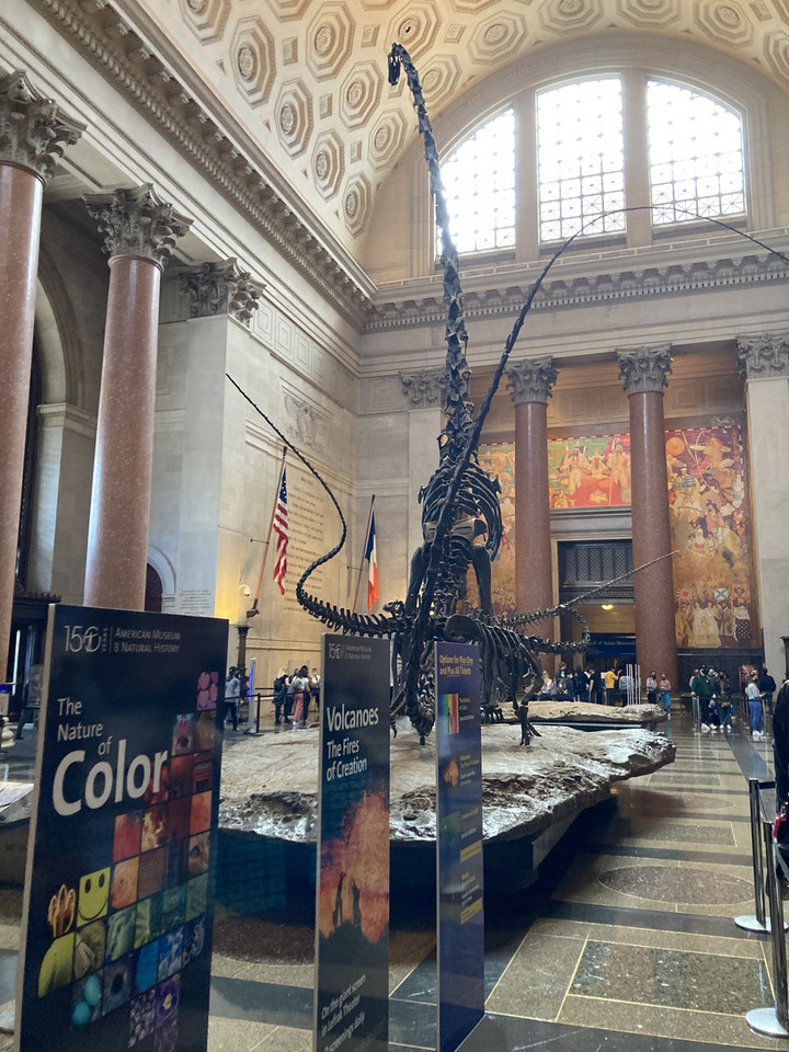 ニューヨーク観光ブログ 恐竜好きと一緒にアメリカ自然史博物館へ行ってきました