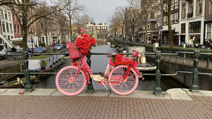 オランダ観光ブログ : オランダの自転車事情