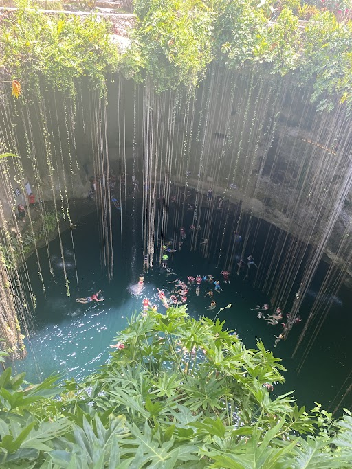 メキシコ 中米 カリブ観光ブログ 大人気ツアー セノーテイキル