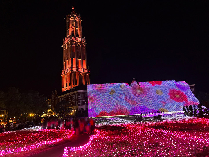 光のオーロラガーデン