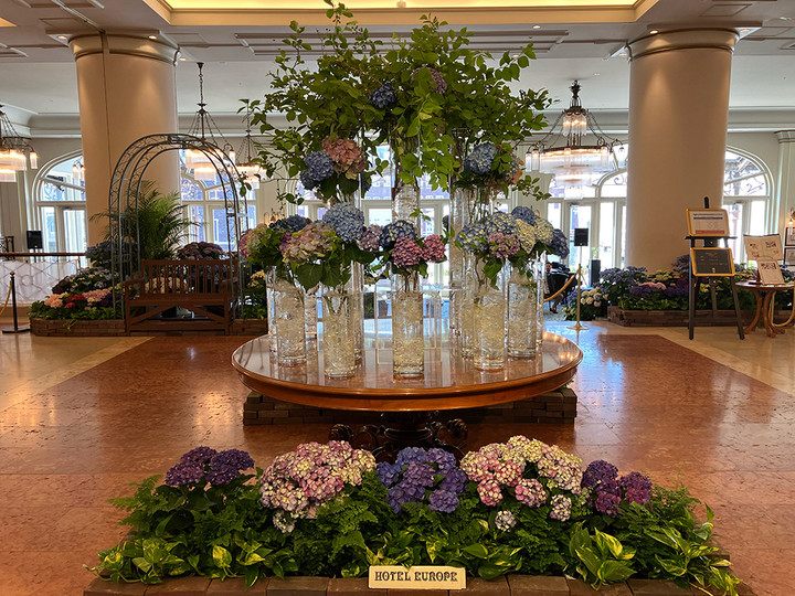 あじさいのホテル