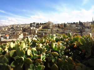 View_amman_city2