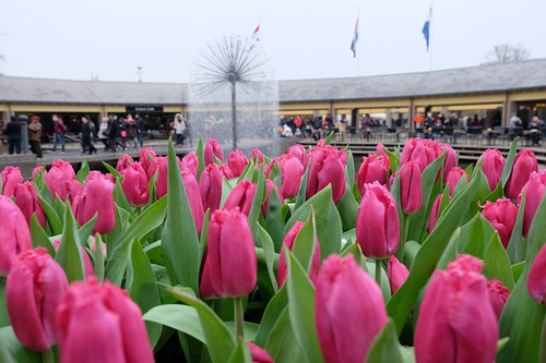 Keukenhof_01